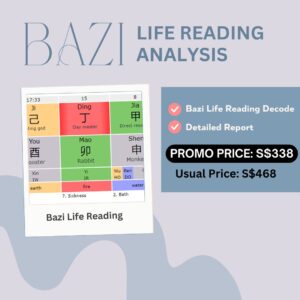 SB5 - Bazi Life Reading Analysis Only (No Solution Bundle)