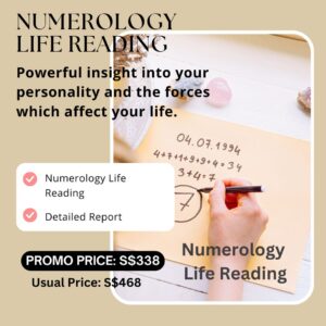 SB4 - Numerology Life Reading Only (No Solution Bundle)