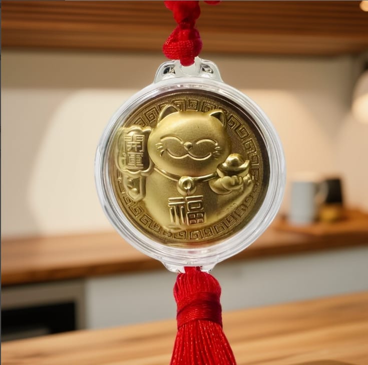 2026 Fortune Coin Personally Activated By Master Rex - For Home and Personal Use - Image 4